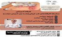 دومین جلسه سلسله کارگاه های آموزشی طب ایرانی